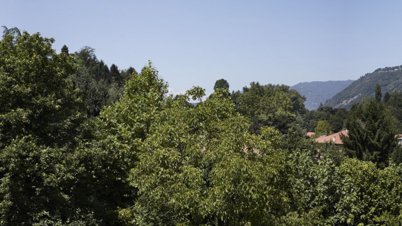 Photo of Others in Albate