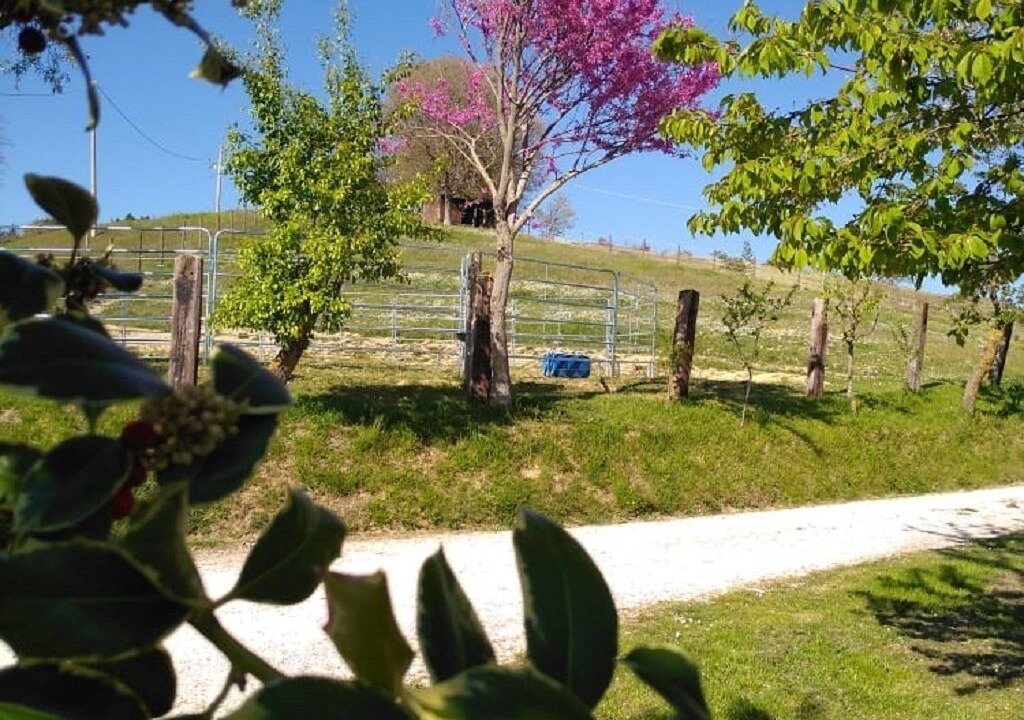 Photo of Outdoor in Valfabbrica