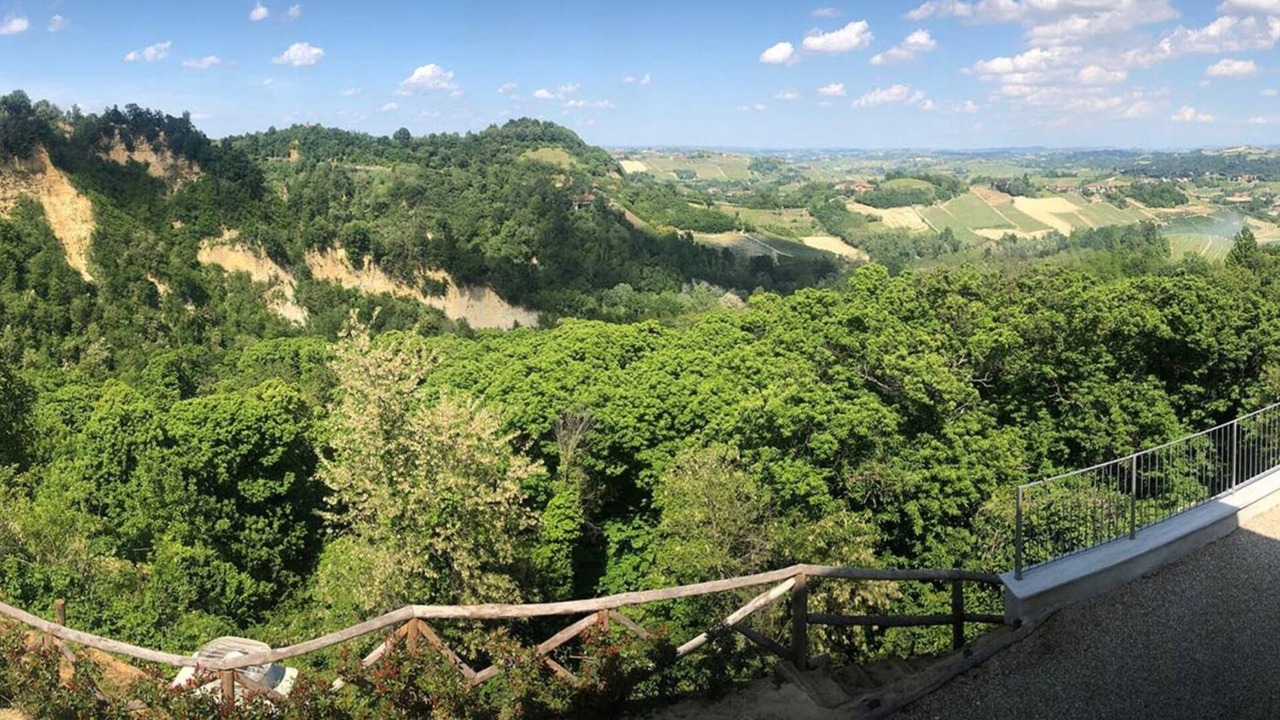 Photo of Others in Montaldo Roero