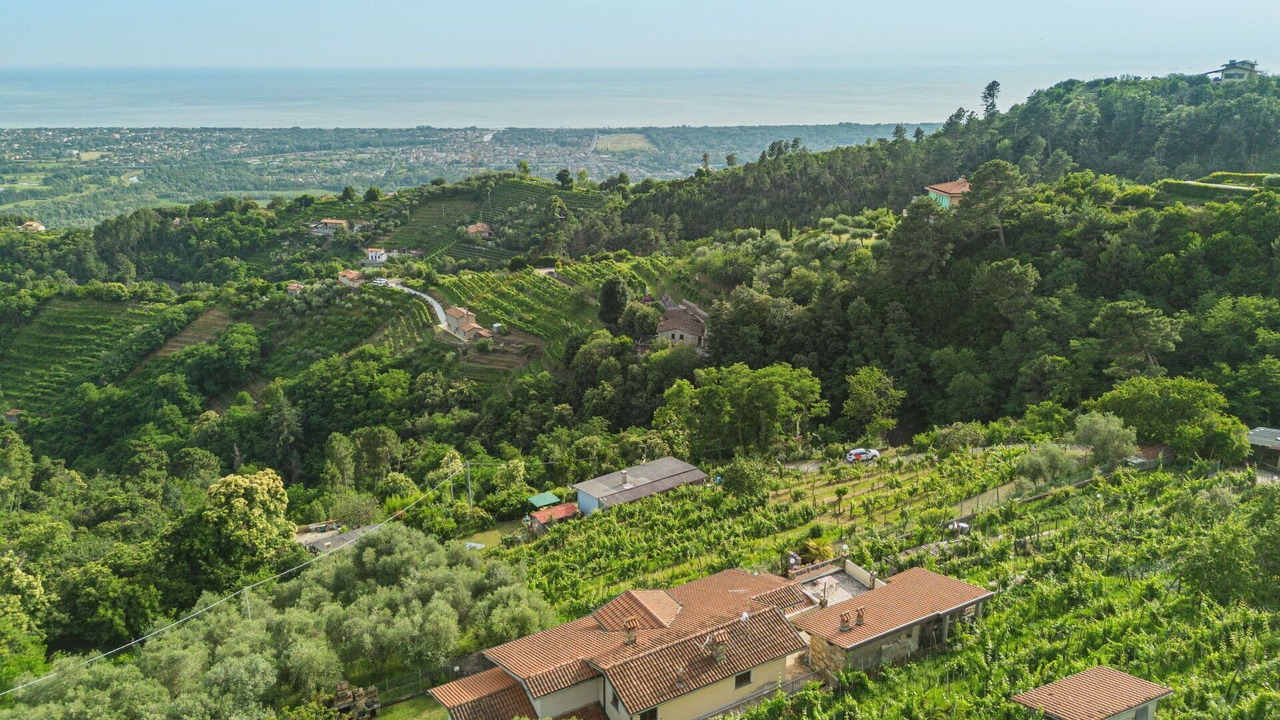 Photo of Others in Montignoso