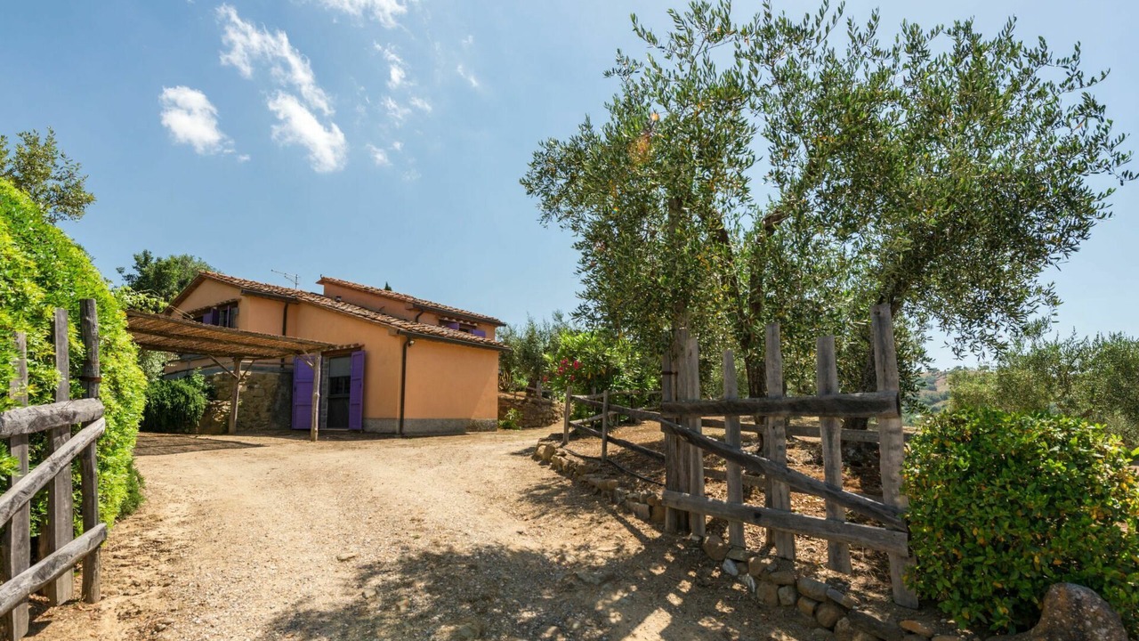 Photo of Others in Scansano