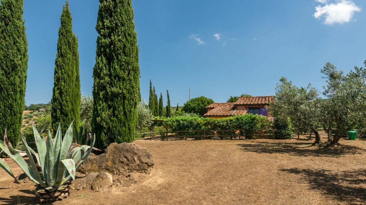 Photo of Others in Scansano
