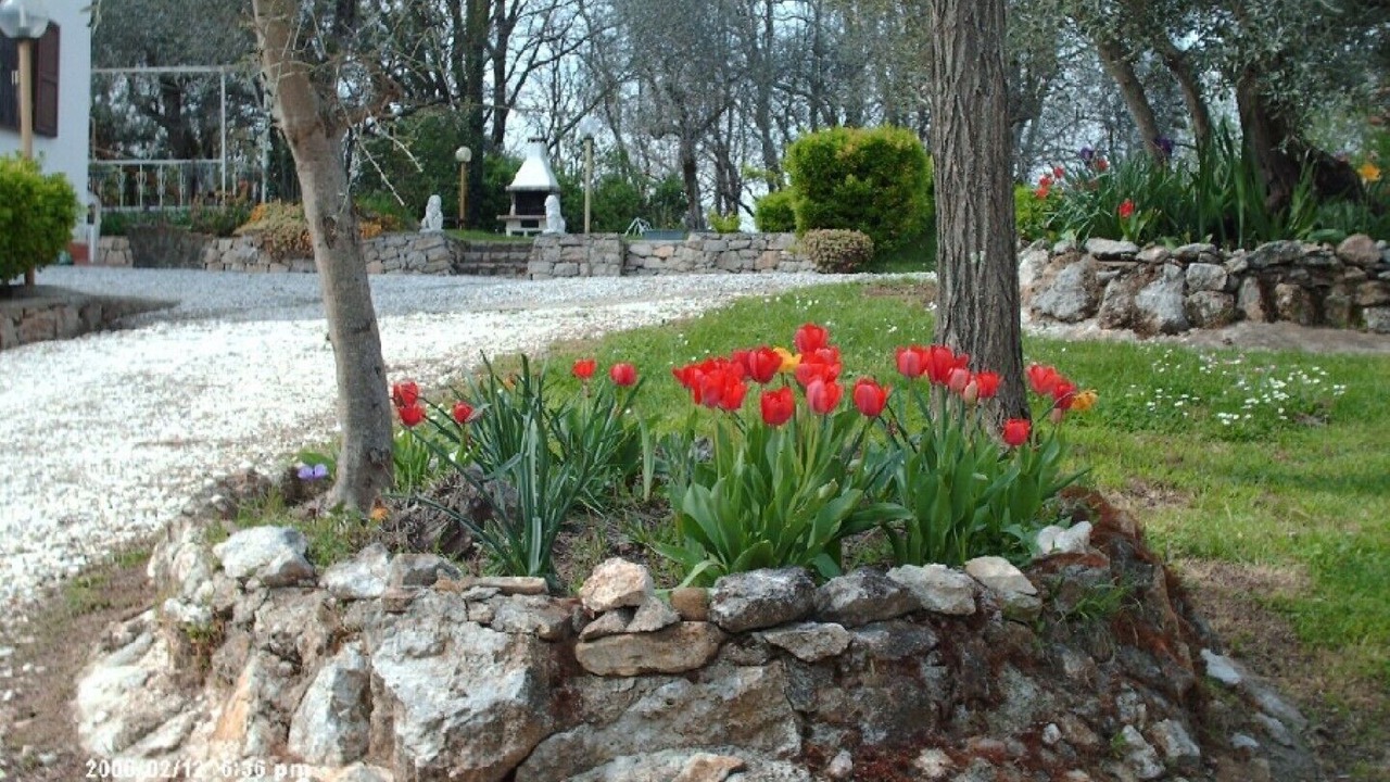 Photo of Outdoor in Fauglia