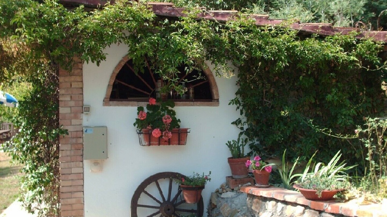 Photo of Outdoor in Fauglia