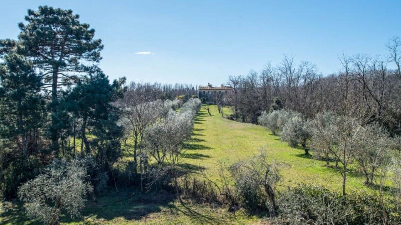 Photo of Outdoor in Fauglia