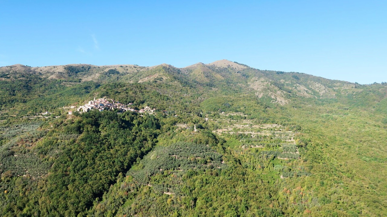 Photo of Others in Aurigo