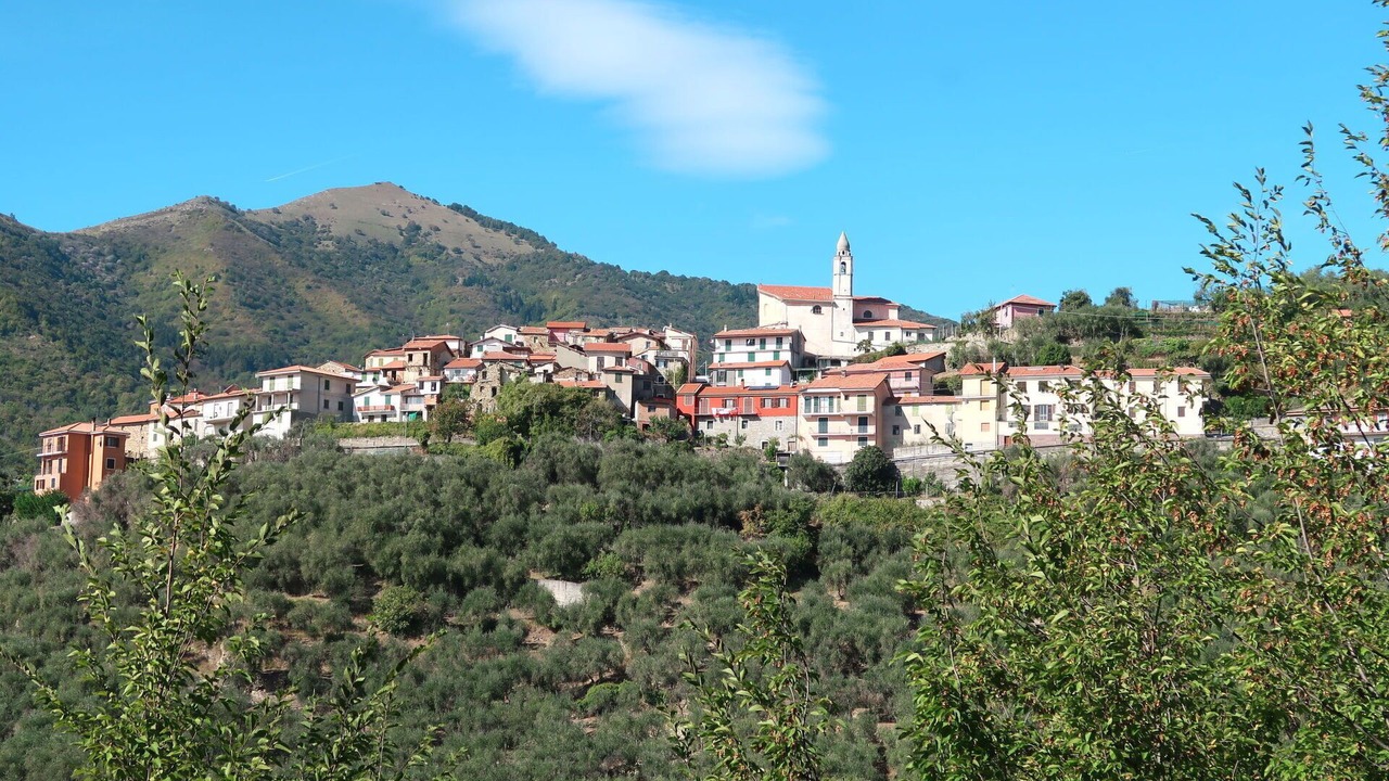 Photo of Others in Aurigo