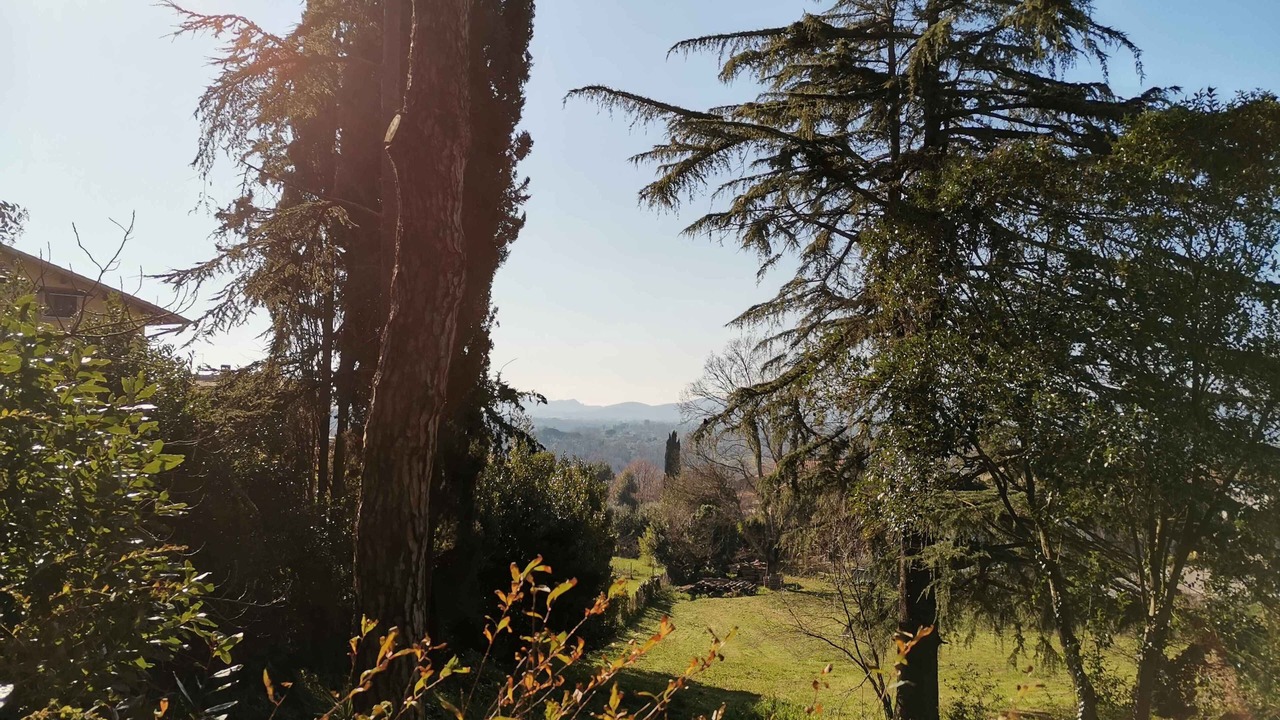 Photo of Outdoor in Canale Monterano
