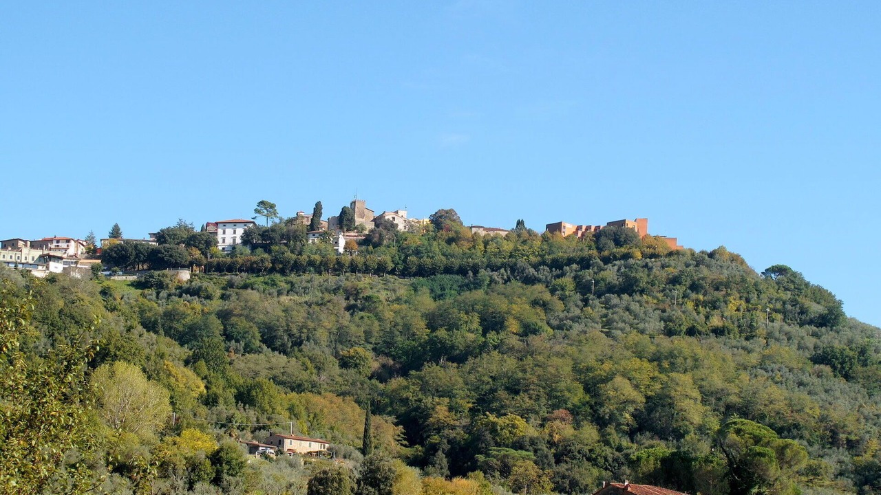 Photo of Others in Pieve a Nievole