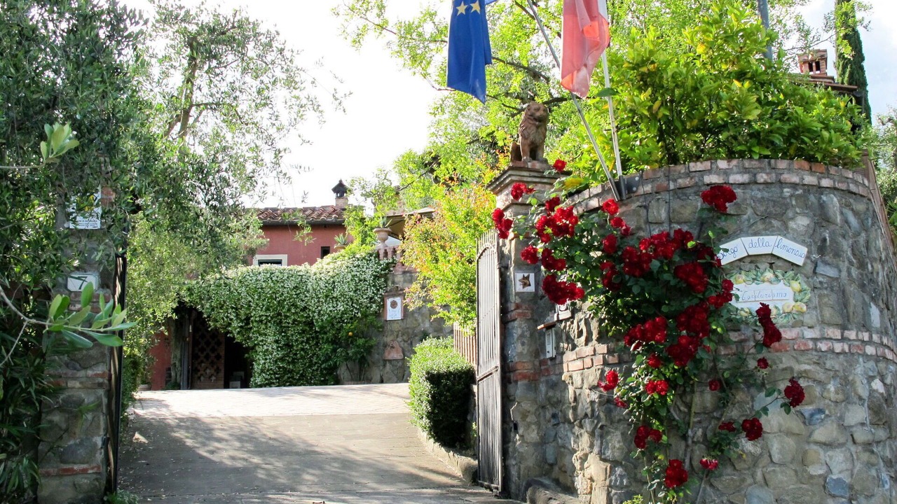 Photo of Others in Pieve a Nievole