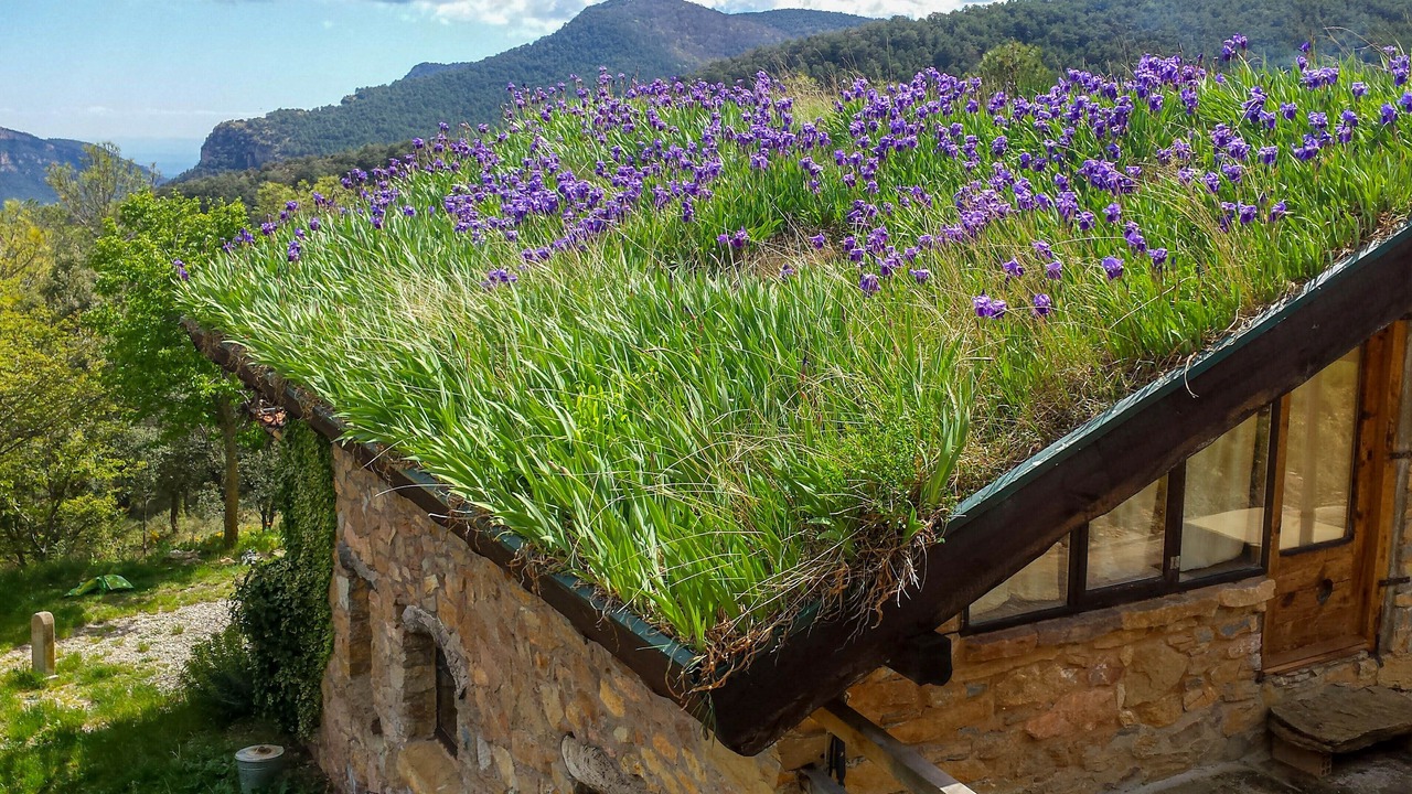 Photo of Outdoor in Boixols