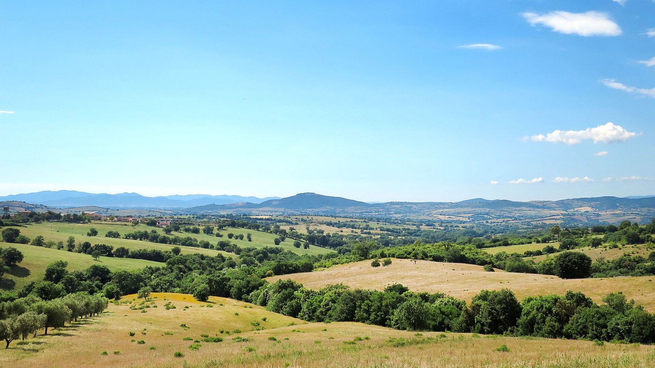 Photo of Others in Scansano