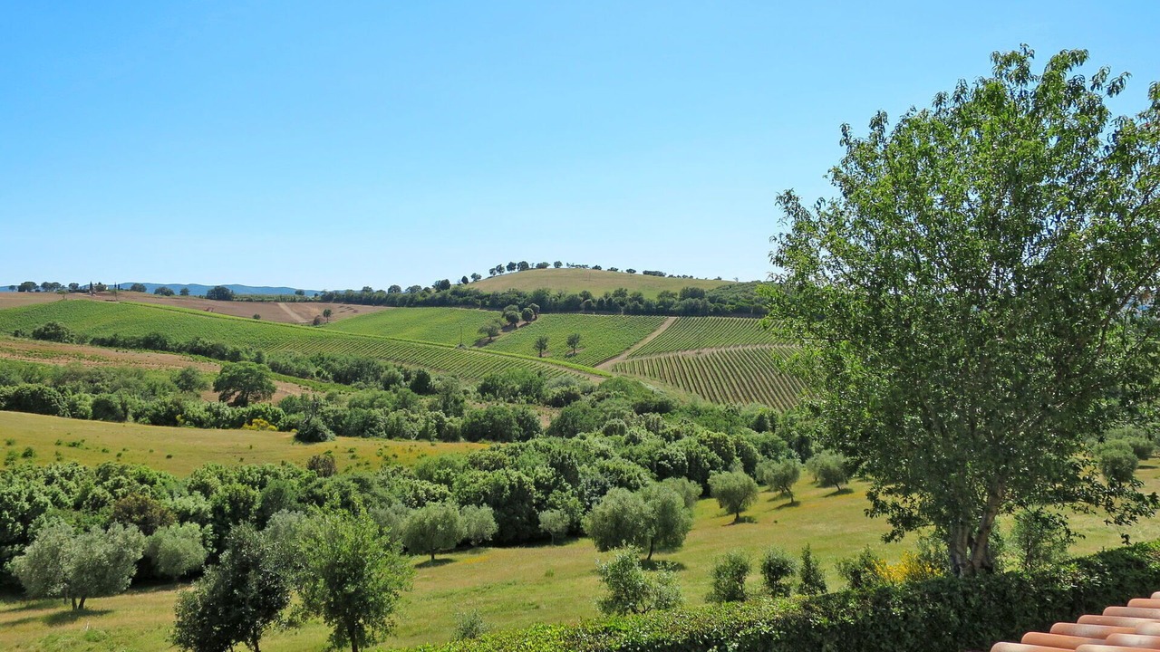 Photo of Others in Scansano