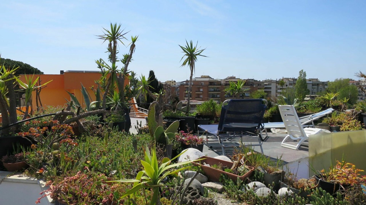 Photo of Others in Borgo Santa Maria