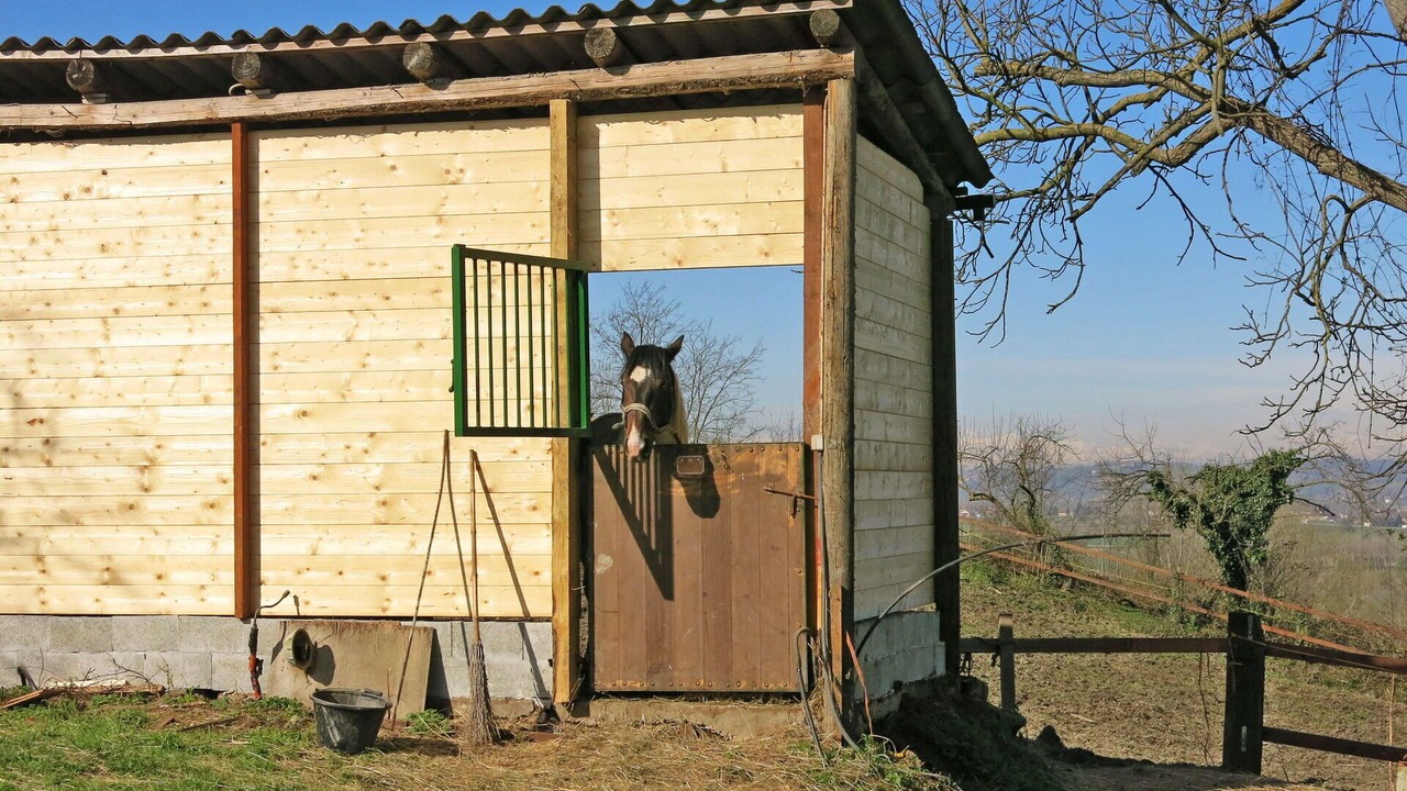 Photo of Outdoor in Azzano d'Asti