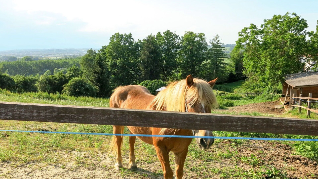 Photo of Others in Azzano d'Asti