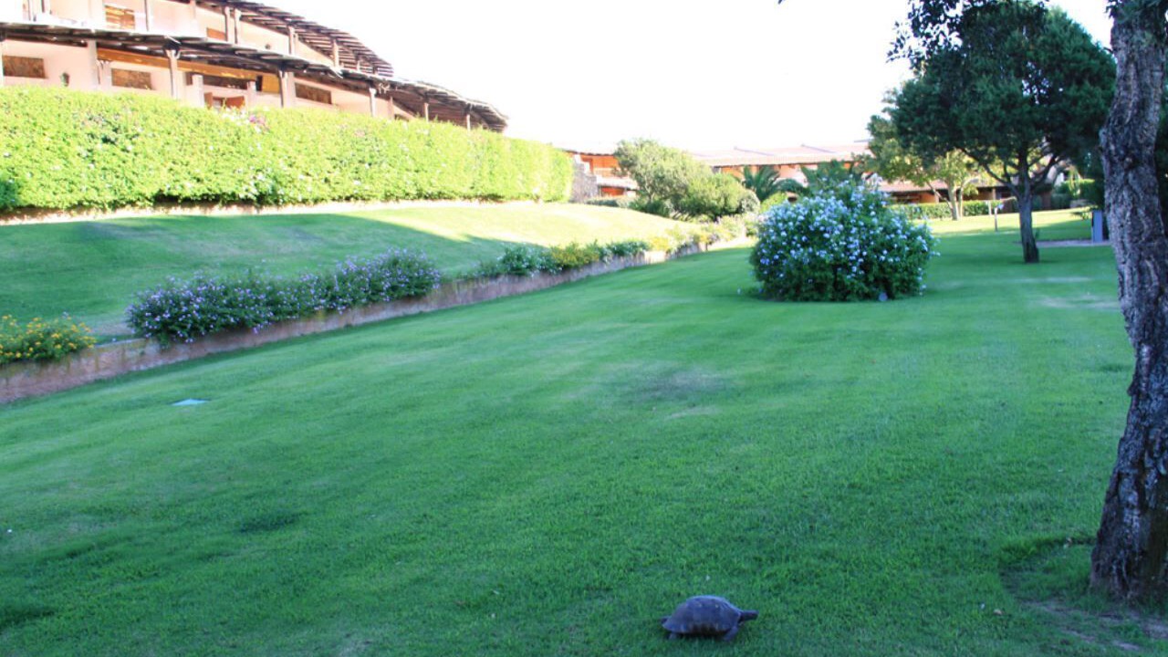 Photo of Outdoor in Li Cuncheddi