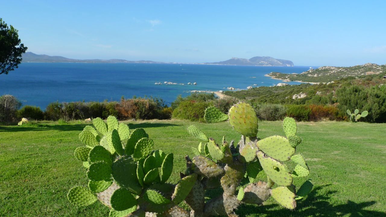 Photo of Outdoor in Li Cuncheddi