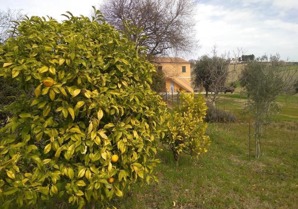 Photo of Outdoor in Montelupone