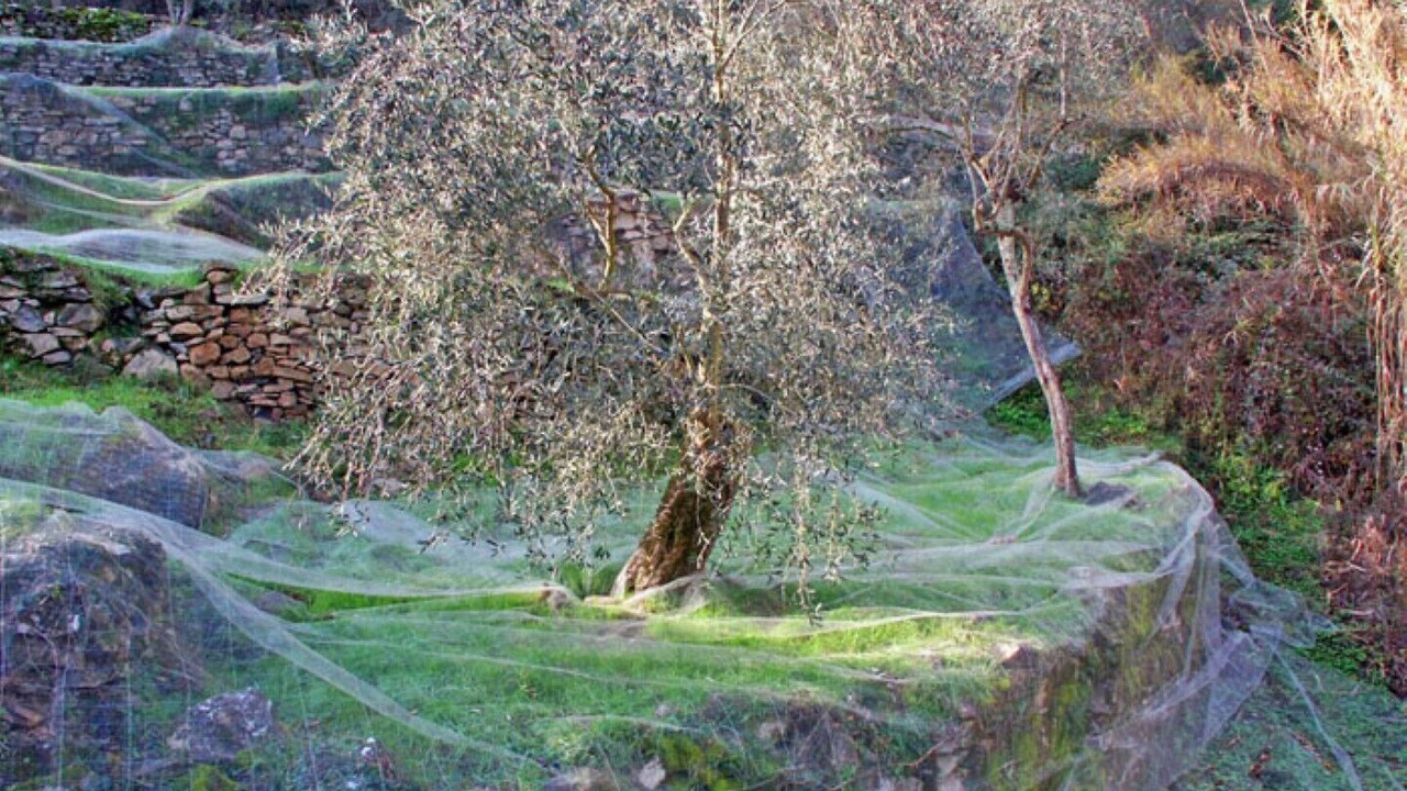 Photo of Outdoor in Strada Nazionale Sud