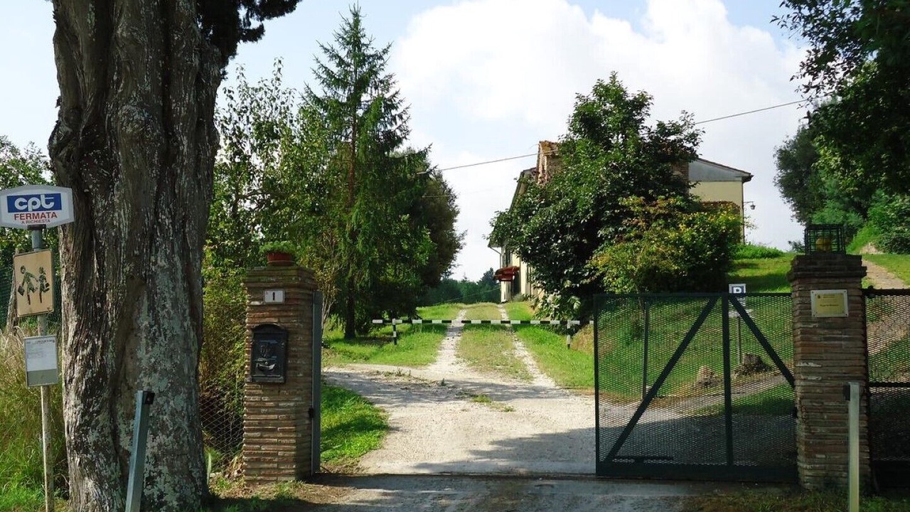 Photo of Outdoor in Fauglia