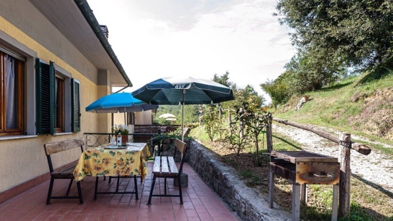 Photo of Outdoor in Fauglia