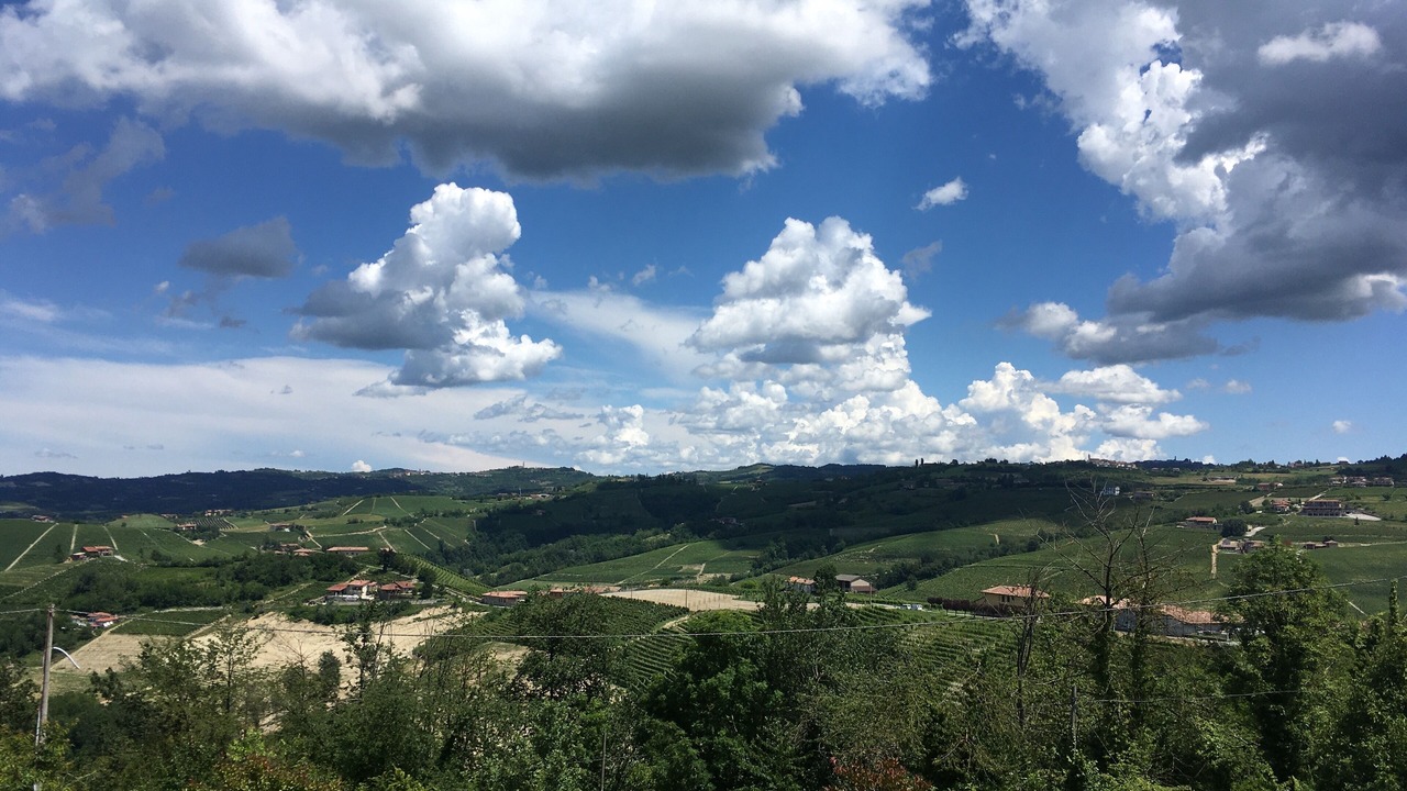 Photo of Others in Monforte d'Alba