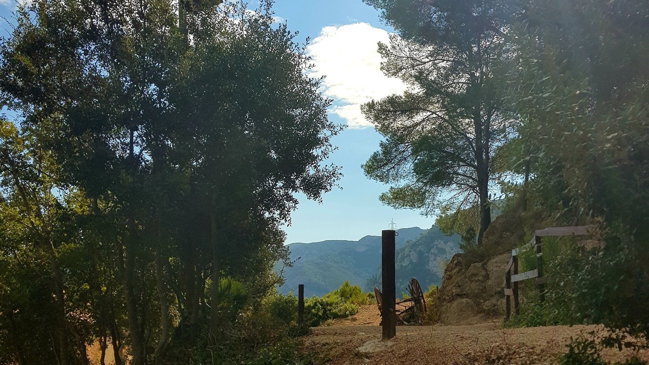 Photo of Outdoor in Vandellos i l'Hospitalet de l'Infant