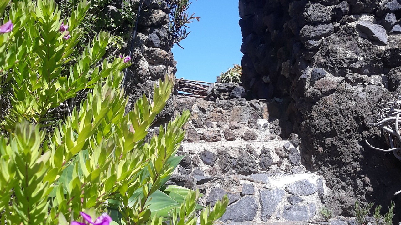 Photo of Outdoor in El Tanque