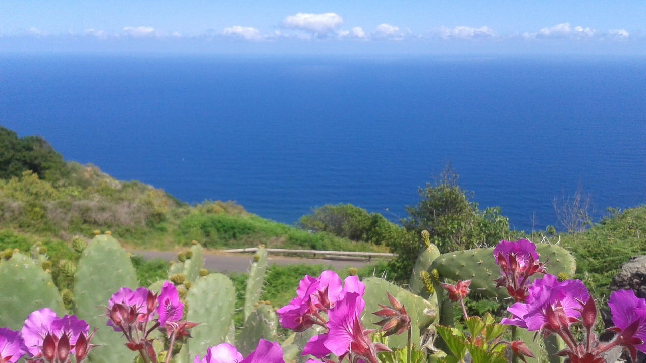 Photo of Outdoor in El Tanque