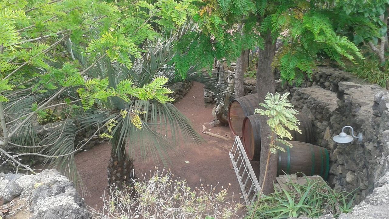 Photo of Outdoor in El Tanque