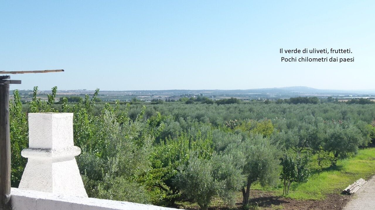 Photo of Others in Castellaneta