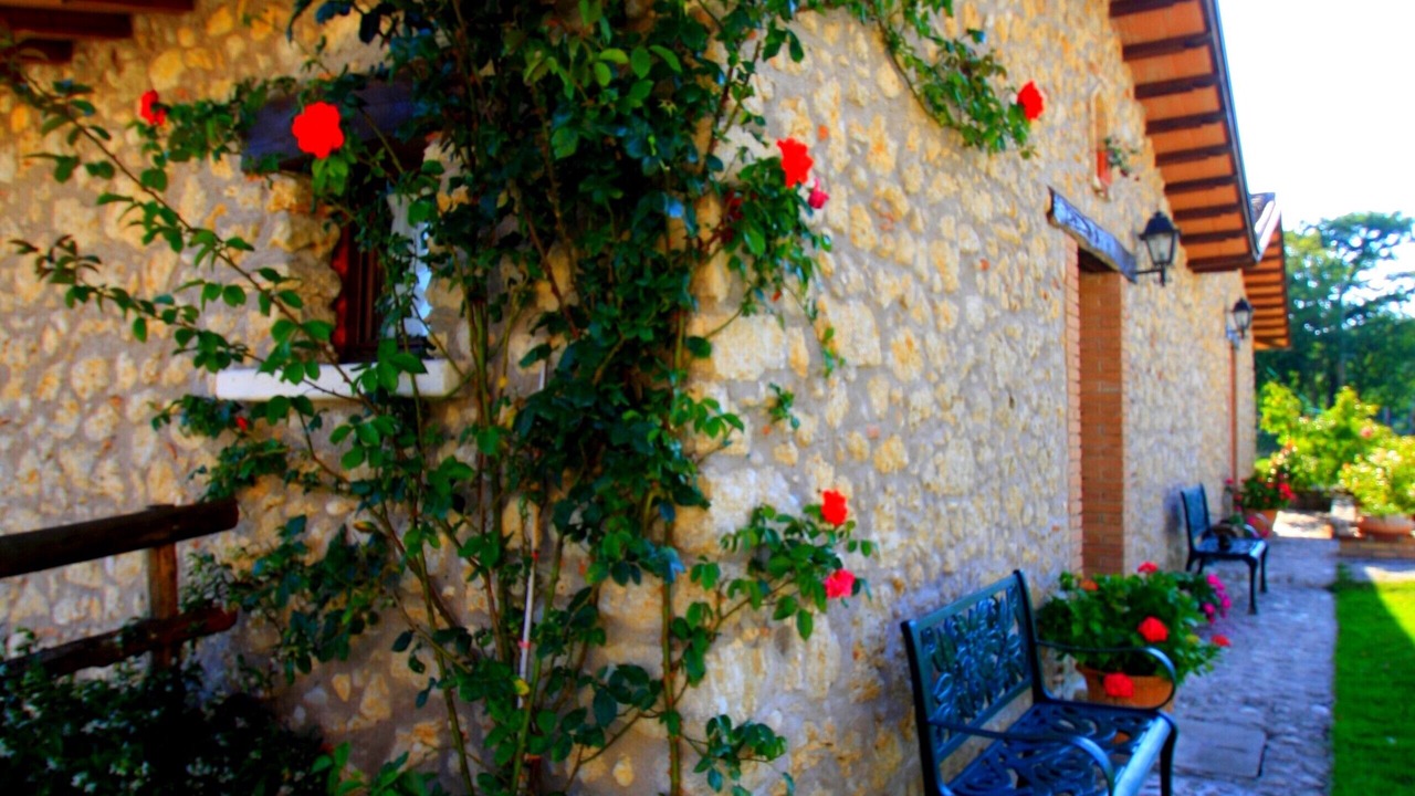 Photo of Patio Balcony in Fassinoro