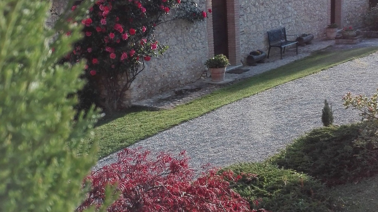 Photo of Outdoor in Fassinoro