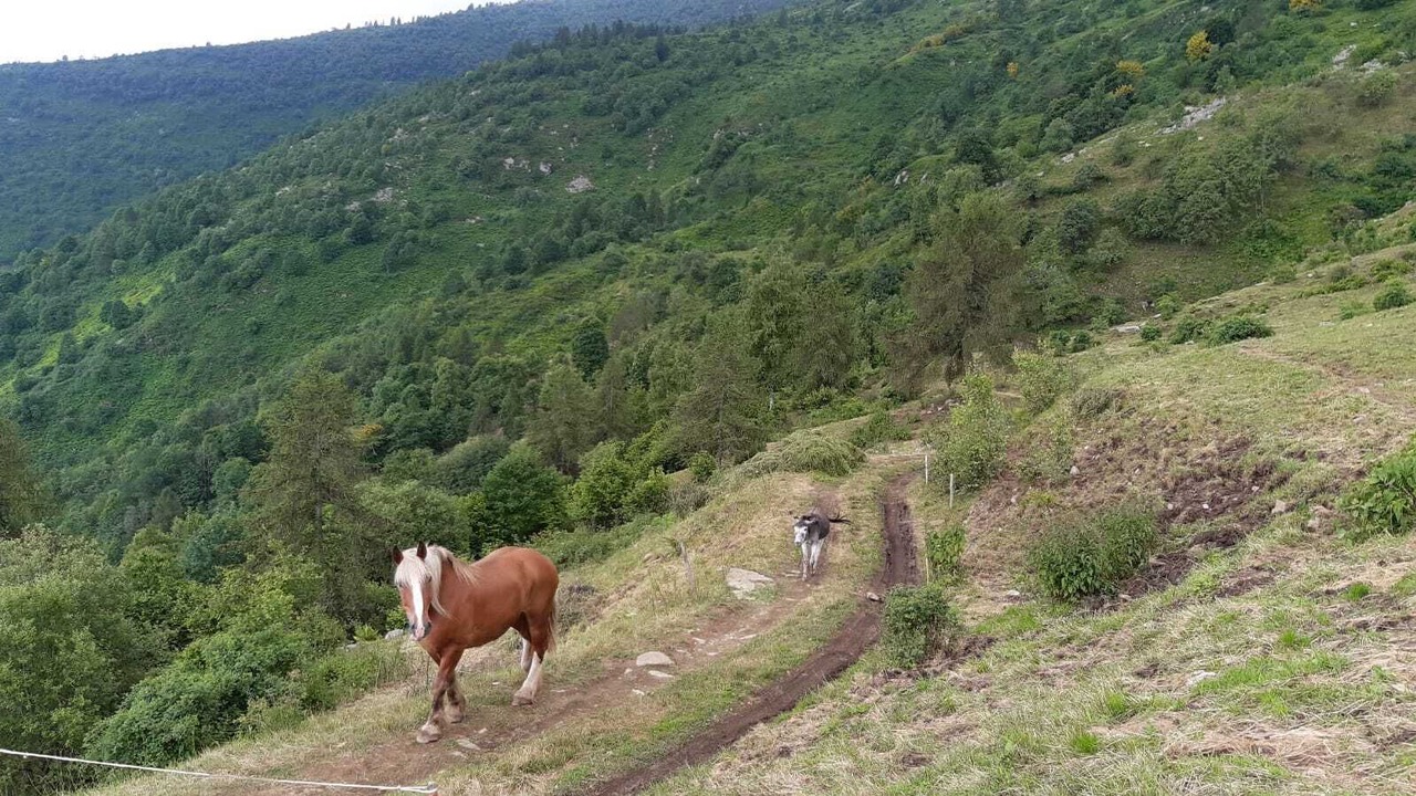 Photo of Outdoor in Frassino