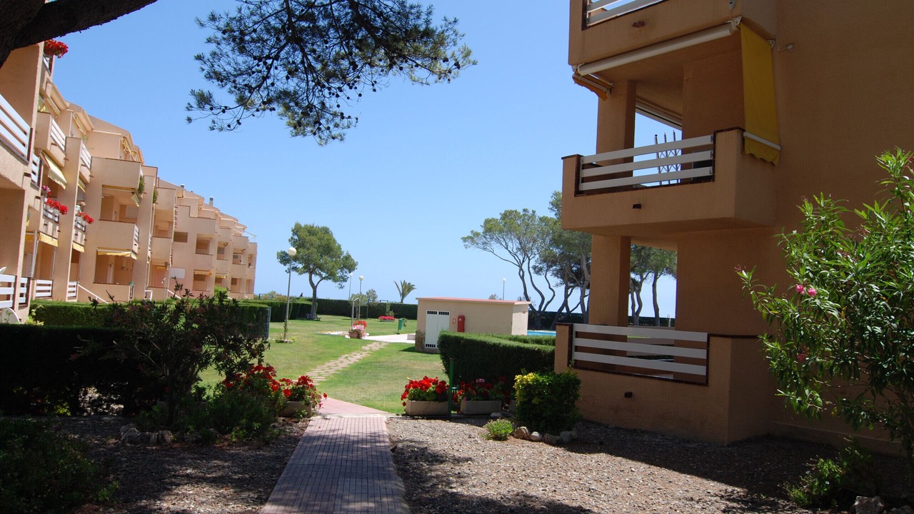 Photo of Outdoor in Miami Platja