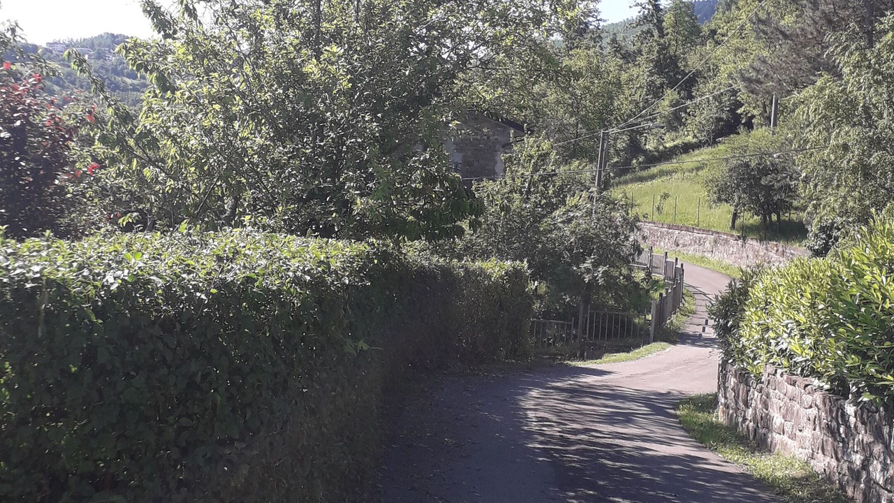 Photo of Outdoor in Castiglione dei Pepoli
