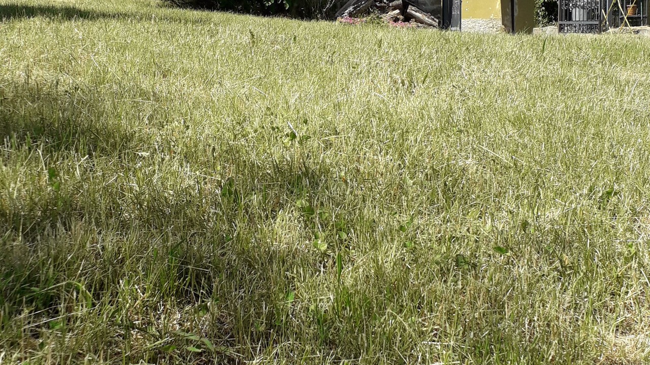 Photo of Outdoor in Castiglione dei Pepoli