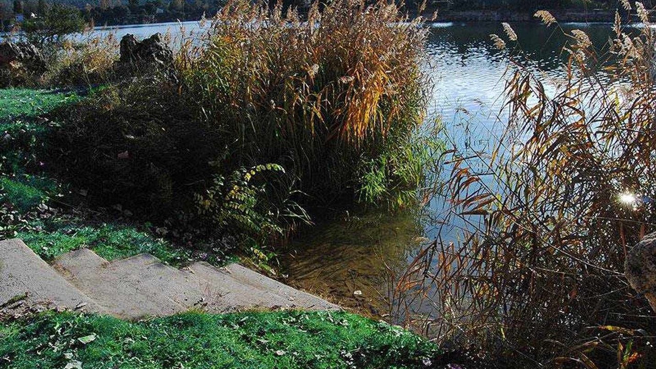 Photo of Outdoor in Ossa de Montiel
