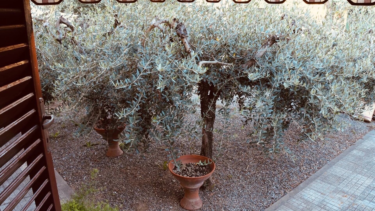 Photo of Outdoor in Pieve a Nievole