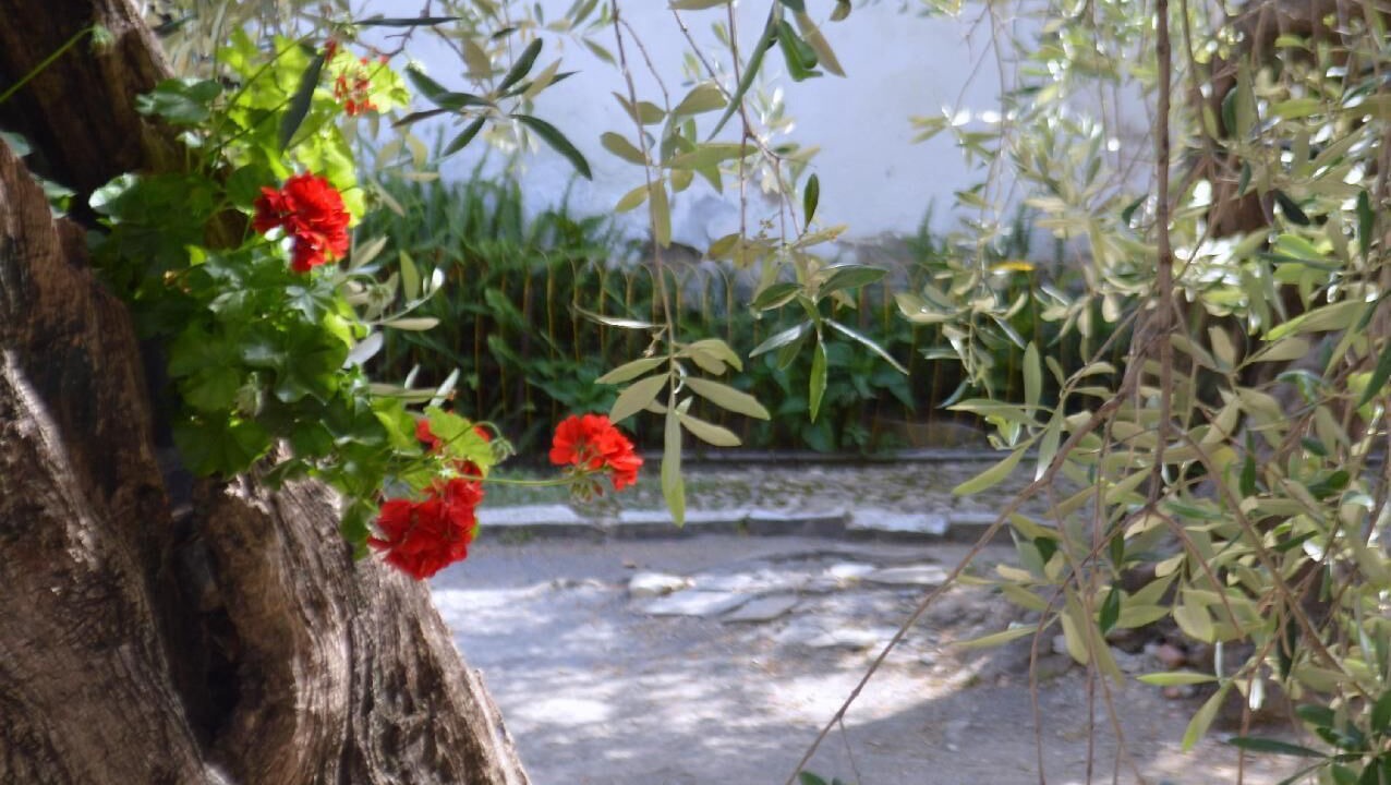 Photo of Outdoor in Diano San Pietro