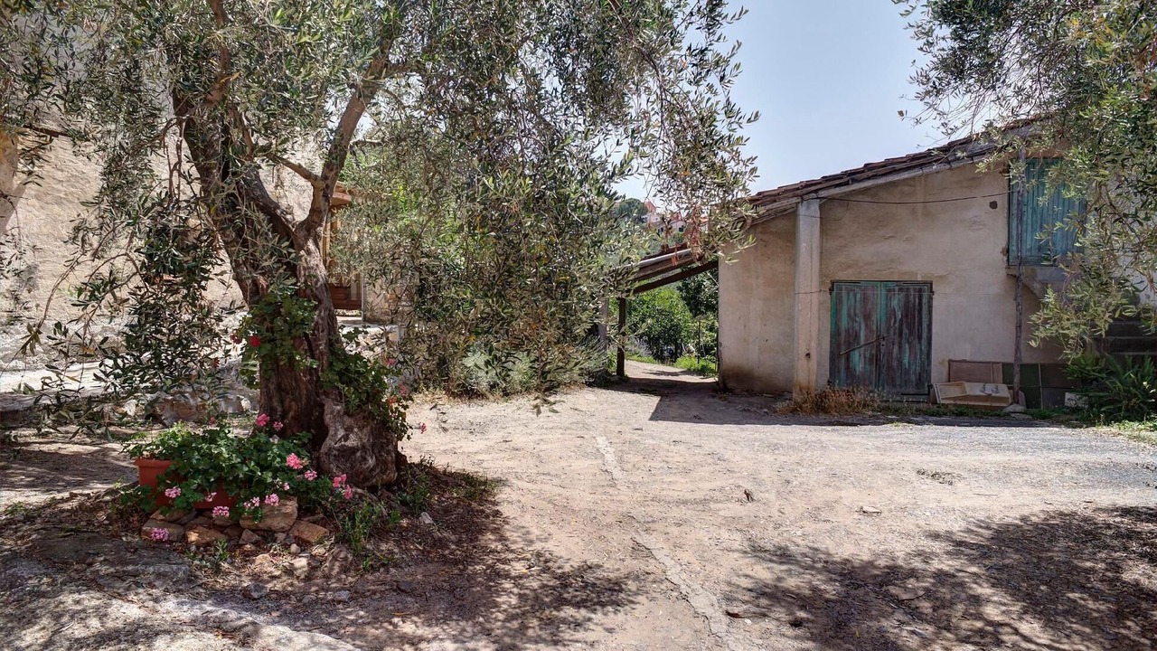 Photo of Outdoor in Diano San Pietro
