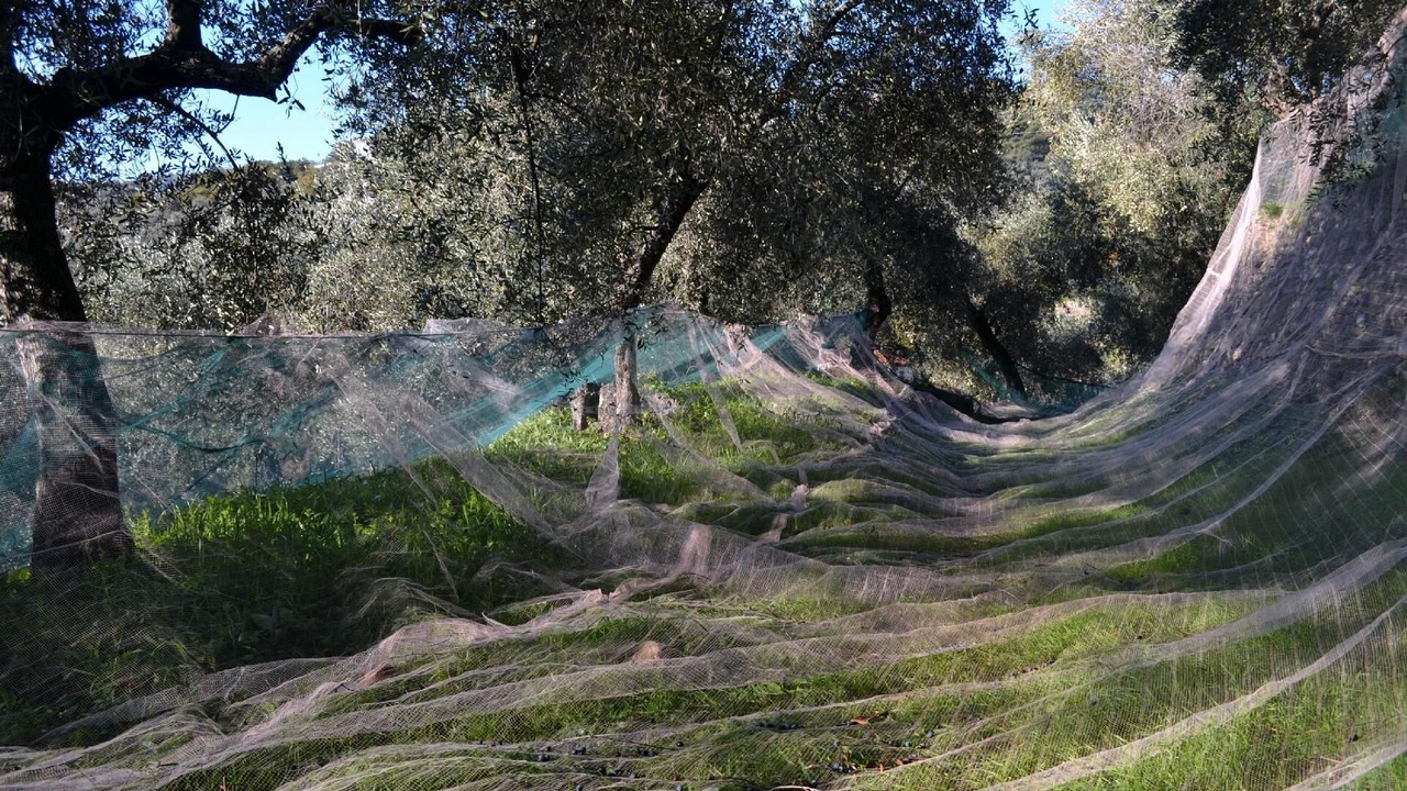 Photo of Outdoor in Diano San Pietro