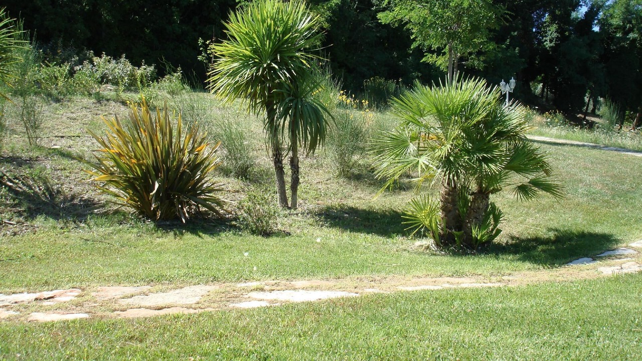 Photo of Outdoor in Montelabbate