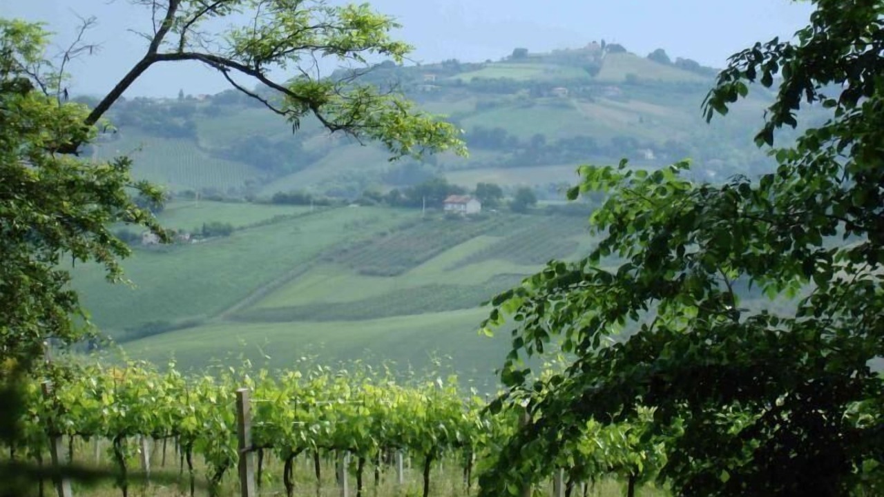 Photo of Outdoor in Montelabbate