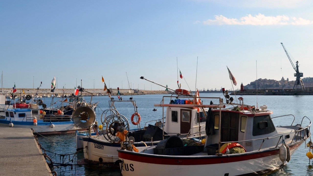 Photo of Others in Diano San Pietro