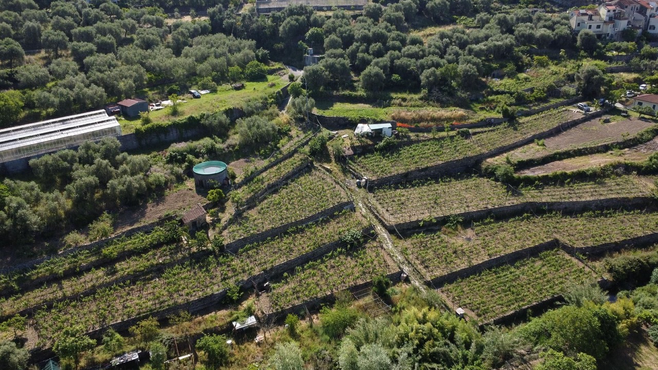 Photo of Outdoor in Diano San Pietro