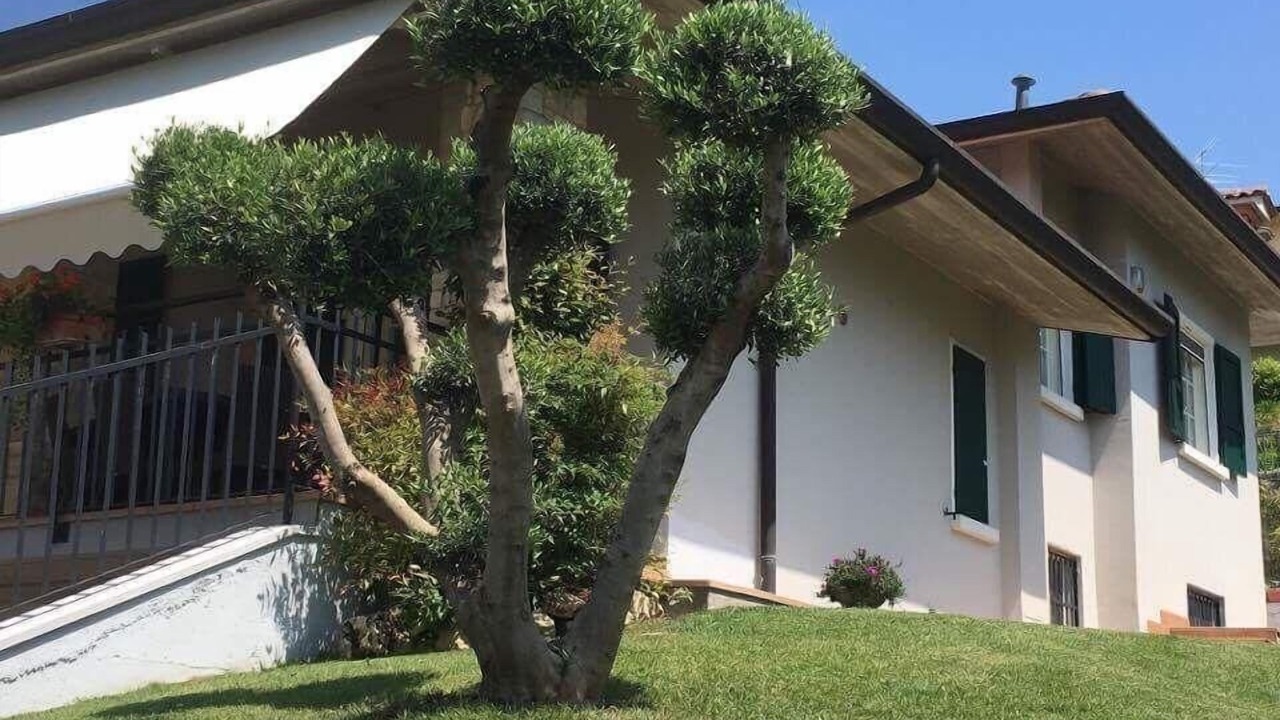 Photo of Outdoor in Pozzolengo