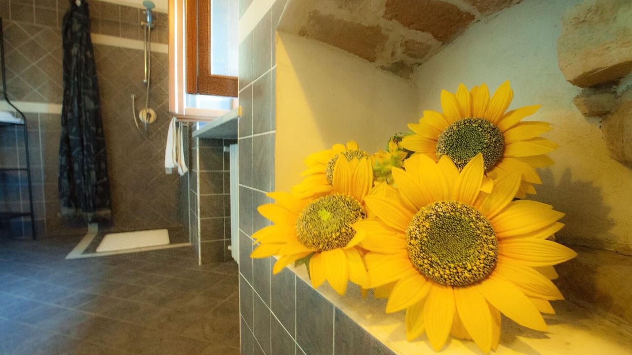 Photo of Bathroom in Garibaldi