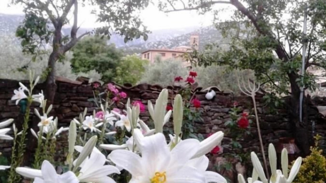 Photo of Outdoor in Rodellar